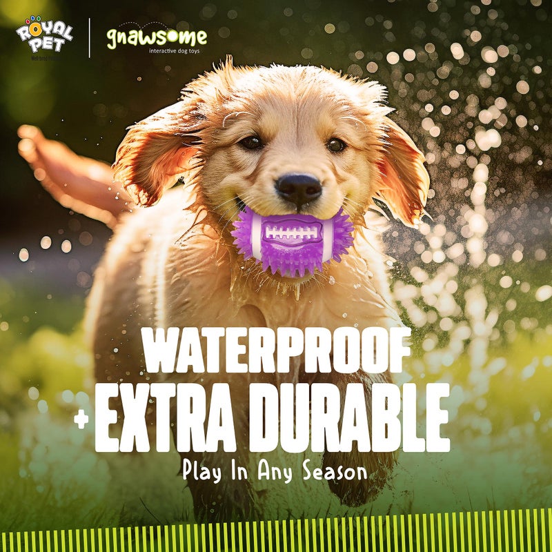 Gnawsome Dog Toys - 3.5" Spiky Squeak & Light Football - Small - Dental & Gum Wellness - Stimulating Fun - Hidden Squeaker - Durable for Heavy Chewers - 100% BPA-Free - Assorted Colors - Image 3
